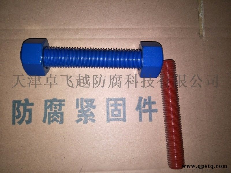 PTFE涂层XYLAN涂层防腐螺栓图3