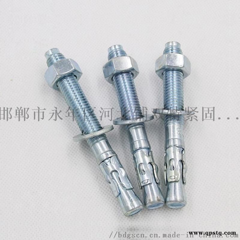 永年车修壁虎膨胀螺栓，抗震  螺丝图4