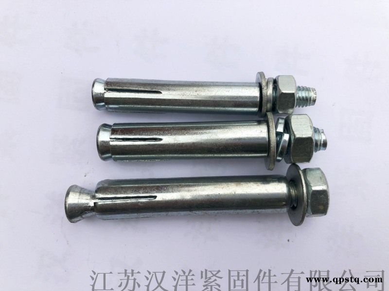 厂家定制各类材质非标膨胀螺栓图3