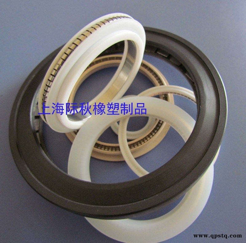 耐高温280℃ 端面用 轴孔用弹簧蓄能泛塞封图2