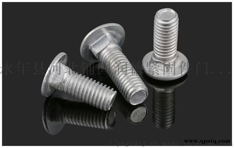 马车栓，桥架螺栓，犁尖螺丝,大帽马车螺栓图4