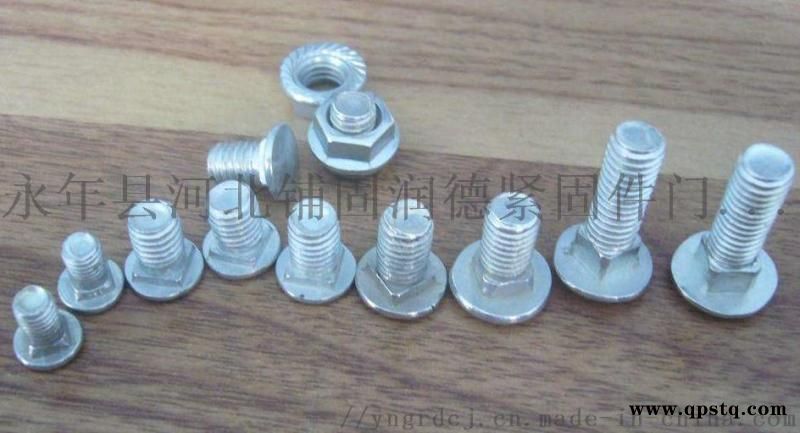 马车栓，桥架丝，桥架螺丝，马车螺栓图3