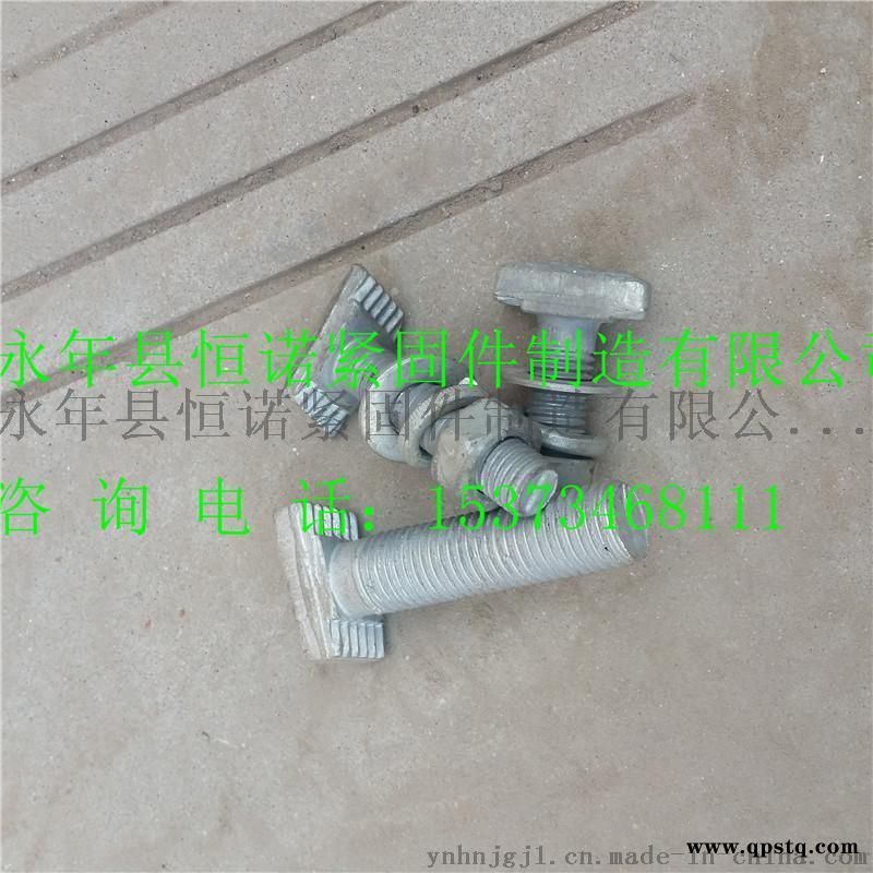 8.8级热镀锌M12带齿哈芬槽T型螺栓邯郸恒诺厂家供应图4