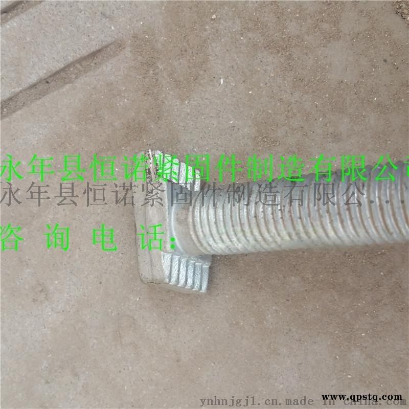 8.8级热镀锌M12带齿哈芬槽T型螺栓邯郸恒诺厂家供应图2