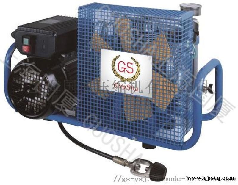 300公斤压力空气压缩机试压用250公斤空压机图2