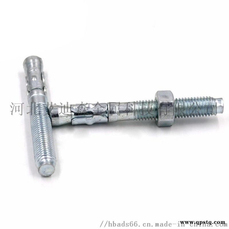 镀锌车修壁虎膨胀螺栓图2