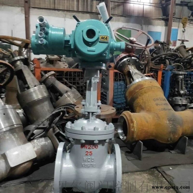 Z941H-16C dn100远程控制电动闸阀图4