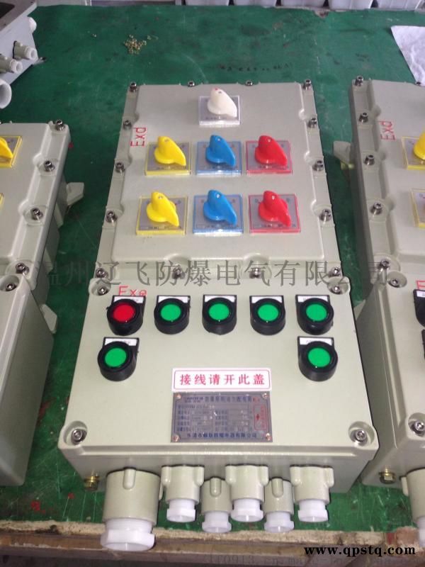 防爆电动闸阀控制箱BXK图4