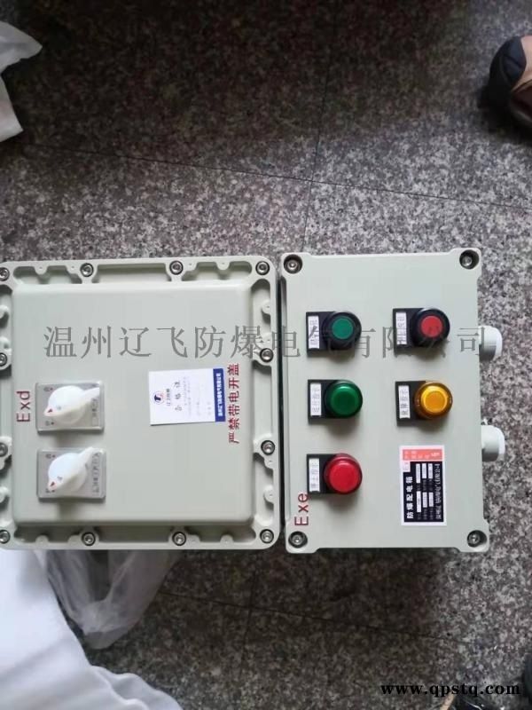 DZW挂壁式电动阀门防爆控制箱图5
