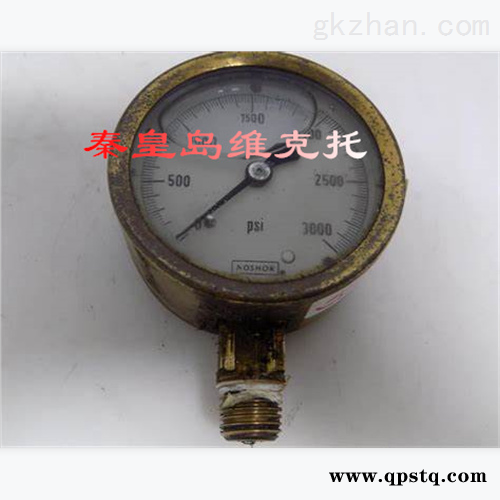 SK1 / 2500 (W) Bore D1: 维克托LY优势供应品牌R+W 联轴器图2