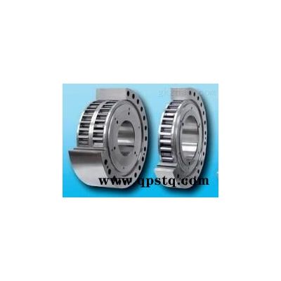 DV 020 FPM-020R-12  Ringspann制动器