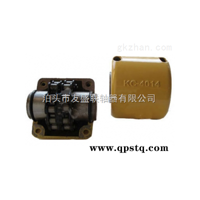 河北友盛联轴器专业供应链条联轴器