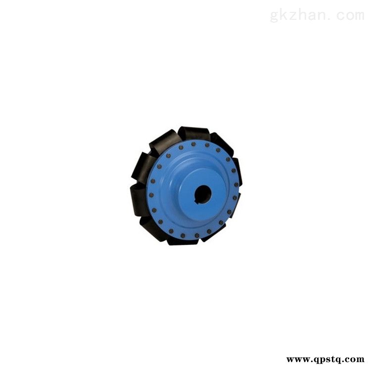 ACVSK50F2  ReichKupplungen联轴器图3