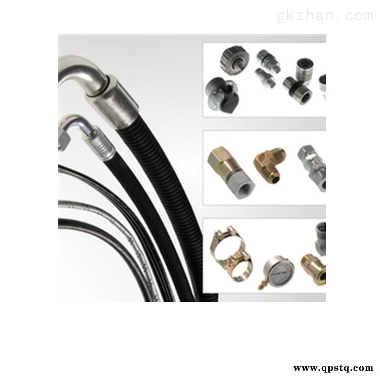 NY6  赫尔纳-供应welte联轴器图3